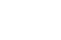 Logo Icon